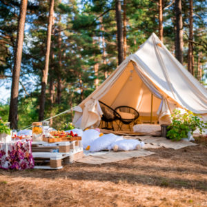 tent in bright forest with chairs